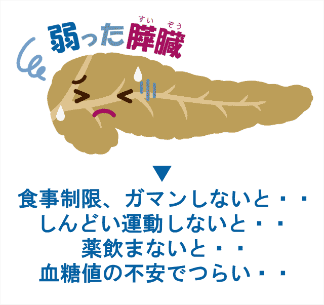 CXgȂ